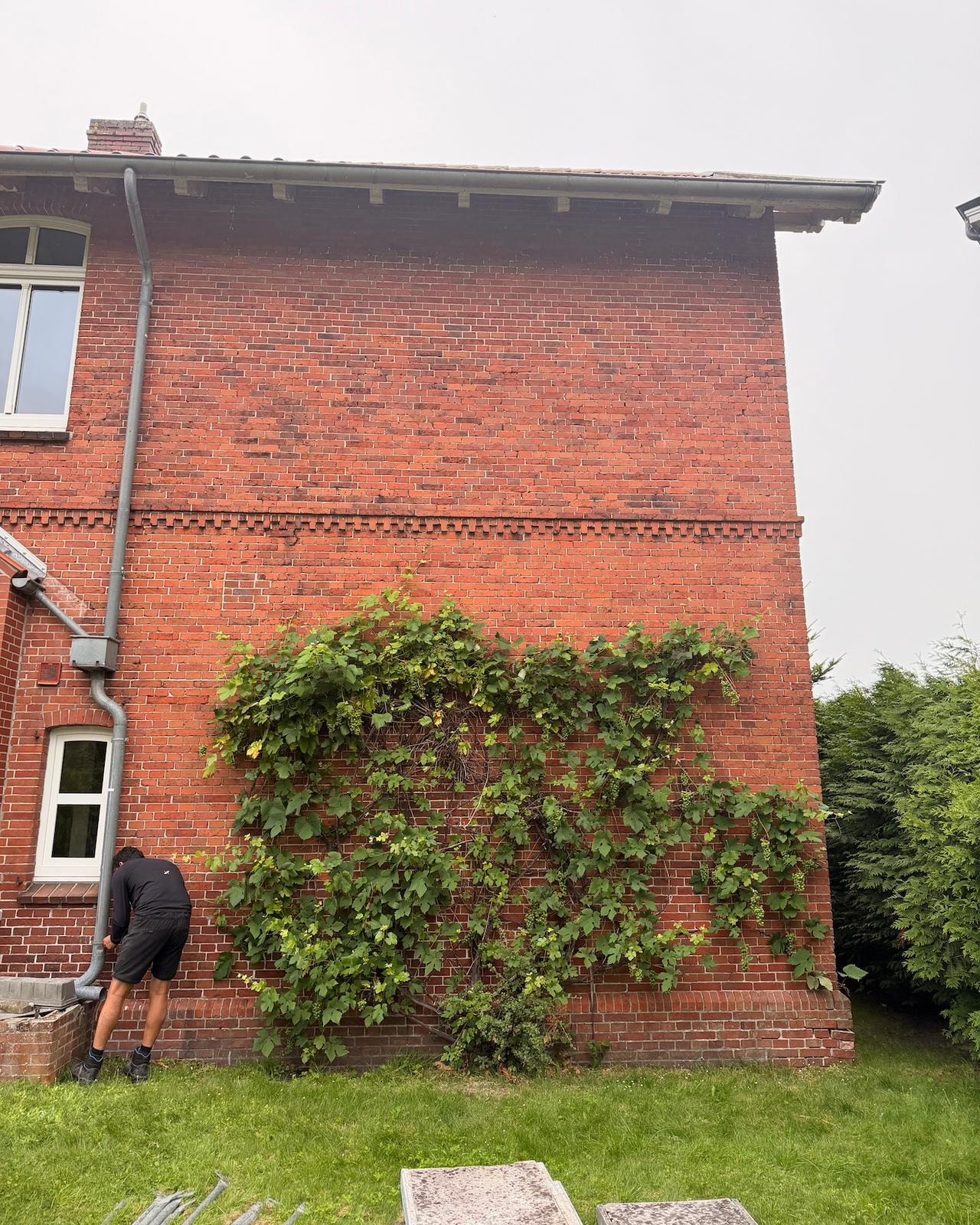 Vorher: verwachsene und sanierungsbedürftige Klinkerfassade